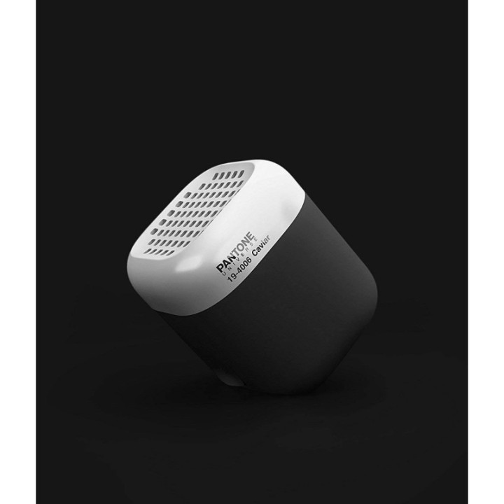 SPKPANT19-4006 