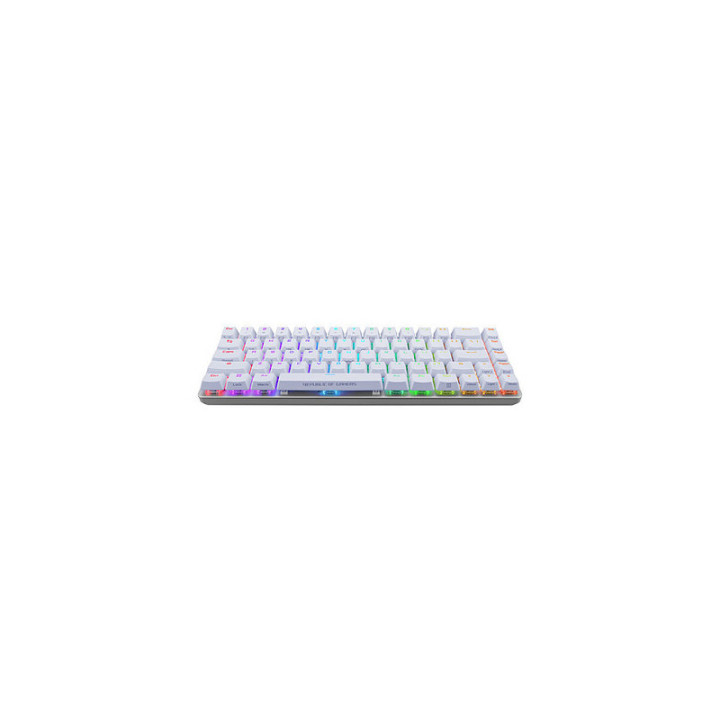 ROG FALCHION ACE WHITE 