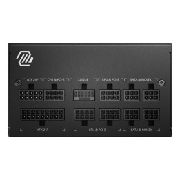 MAG A850GL PCIE5 