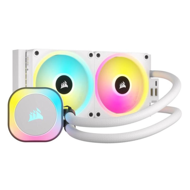 CW-9061005-WW 