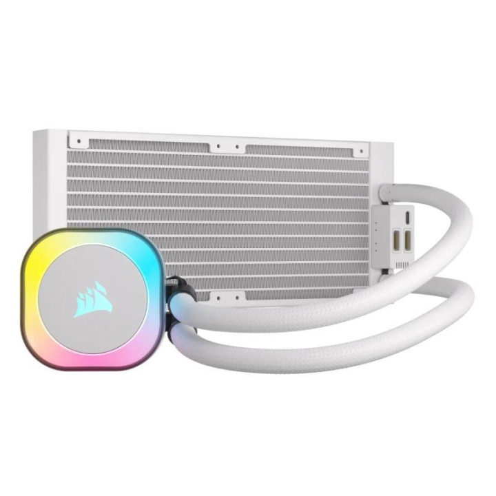 CW-9061005-WW 