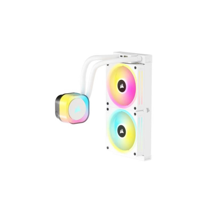 CW-9061005-WW 