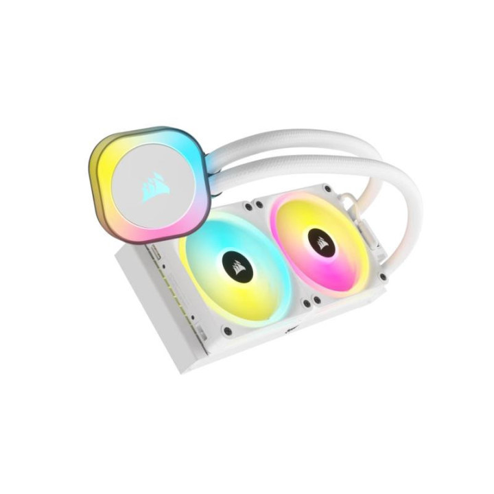 CW-9061005-WW 