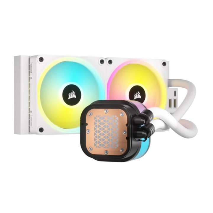 CW-9061005-WW 