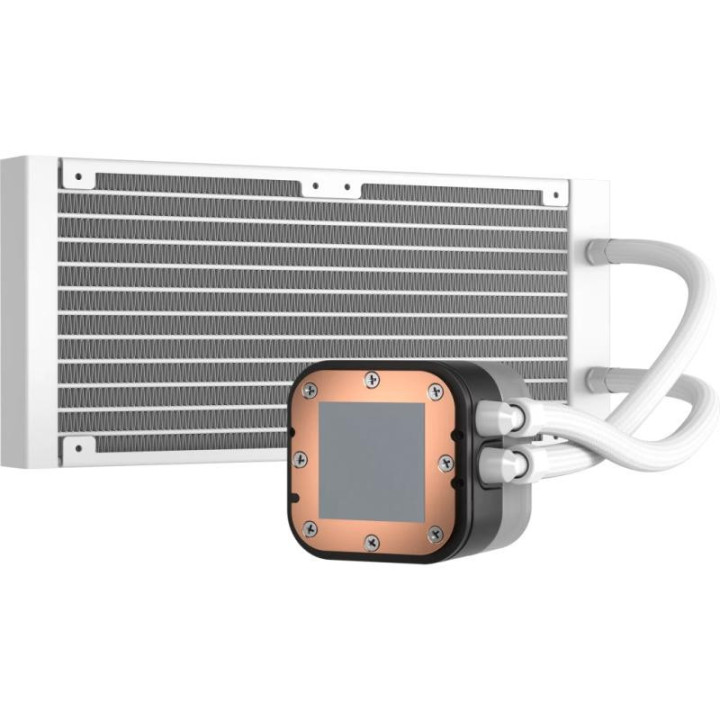 CW-9060078-WW 
