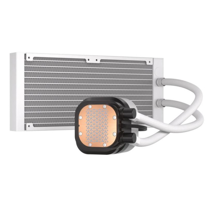 CW-9060094-WW 