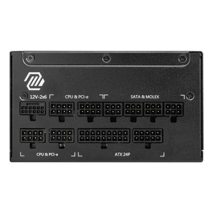 MAG A1250GL PCIE5 