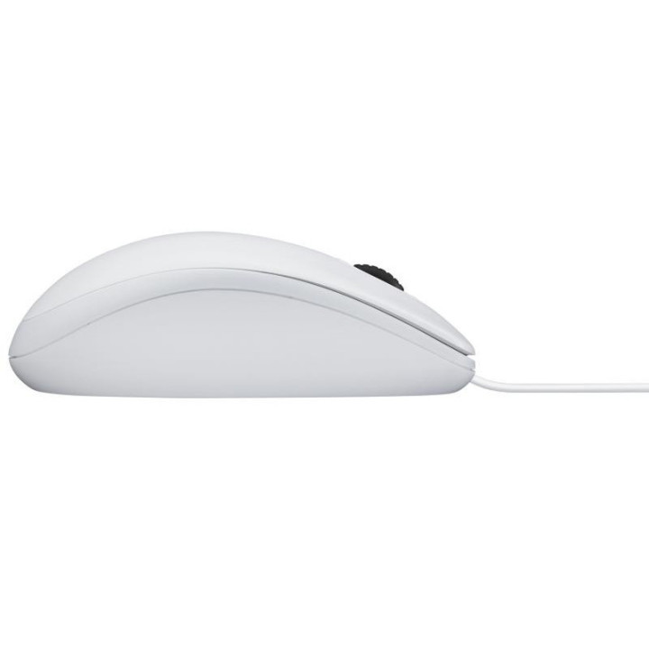 B100 WHITE (910-003360) 