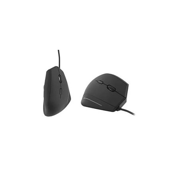 Ergo Line Verticale (ergonomique) | T'nB 