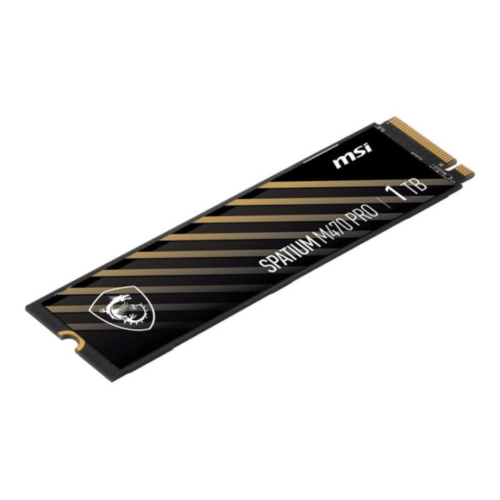 SPATIUM M470 PRO PCIe 4.0 NVMe M 