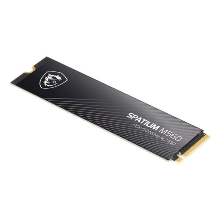 SPATIUM M560 PCIe 5.0 NVMe M 