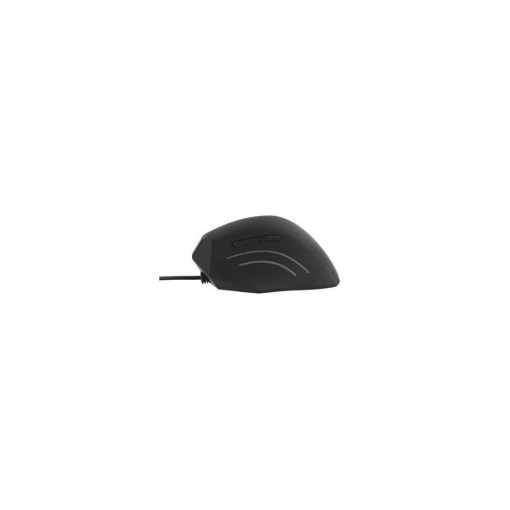 Ergo Line Verticale (ergonomique) | T'nB 
