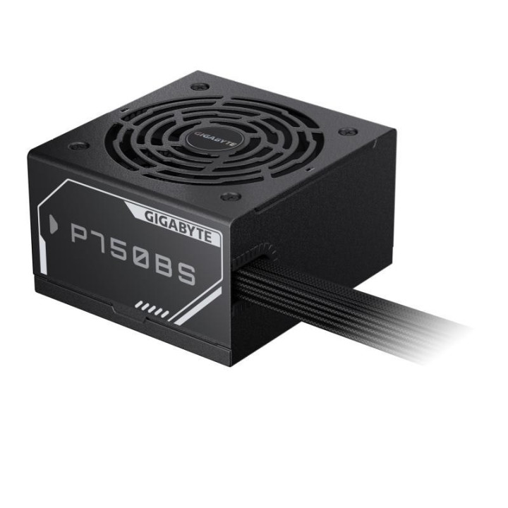 GP-P750BS/P 