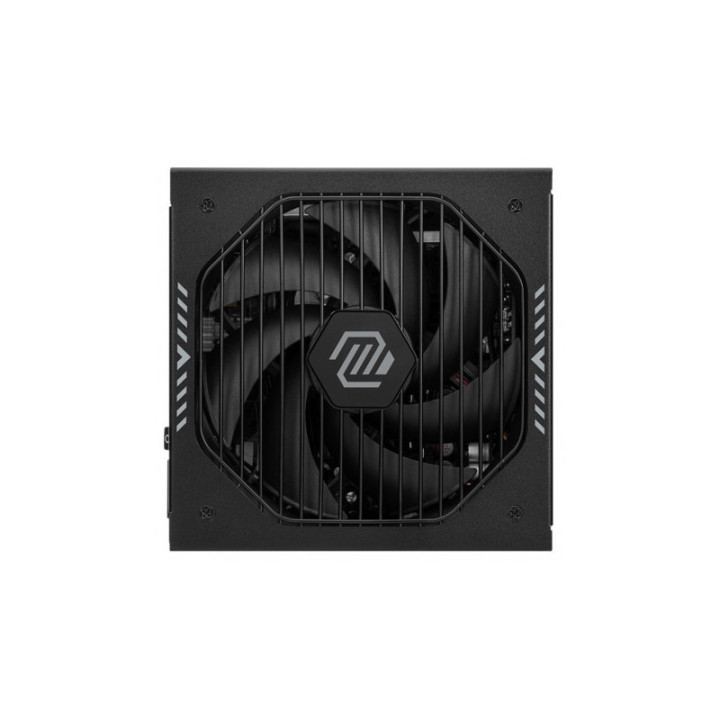 MAG A1000GLS PCIE5 