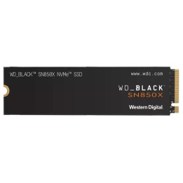 WDS100T2X0E 