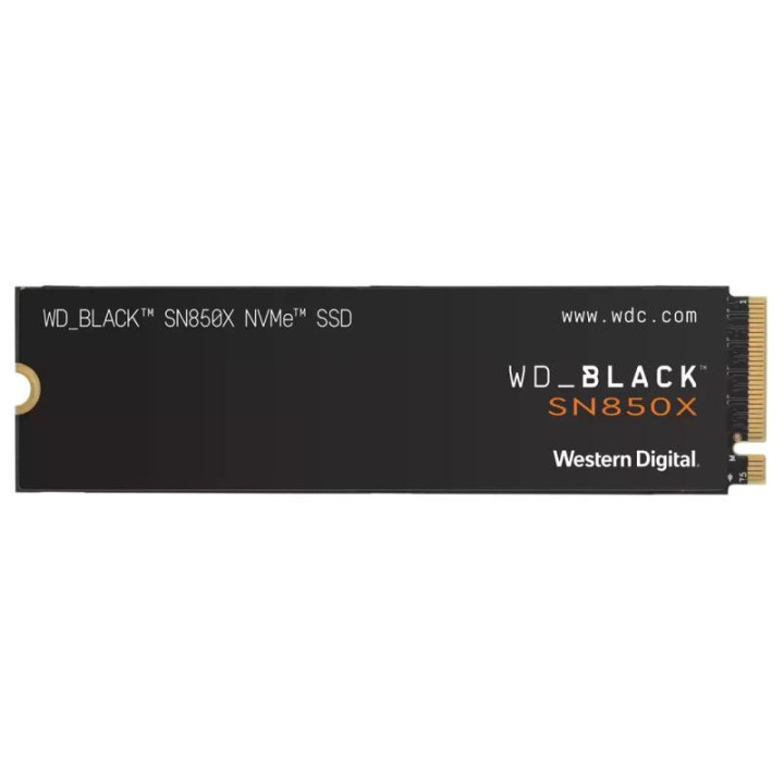 WDS100T2X0E 