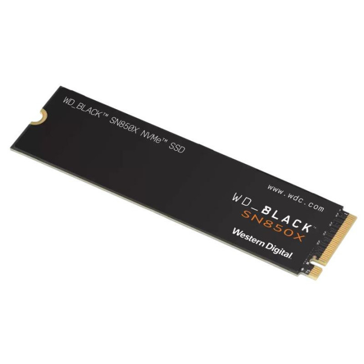 WDS100T2X0E 