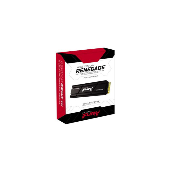 Kingston Technology 4000G RENEGADE PCIe 4.0 NVMe SSD W/ Radiateur de dissipation thermique 