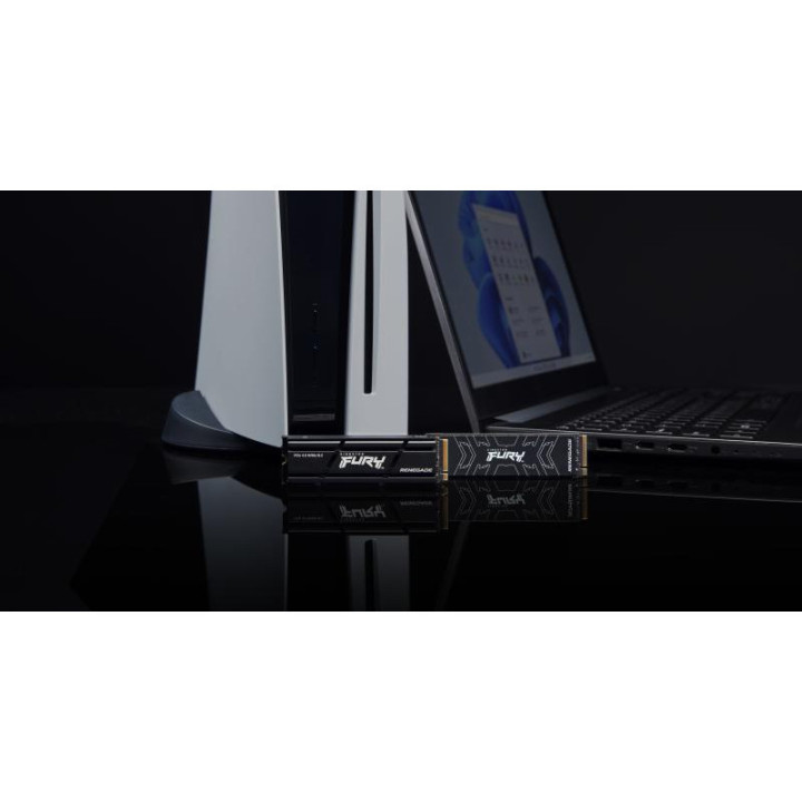 Kingston Technology 4000G RENEGADE PCIe 4.0 NVMe SSD W/ Radiateur de dissipation thermique 