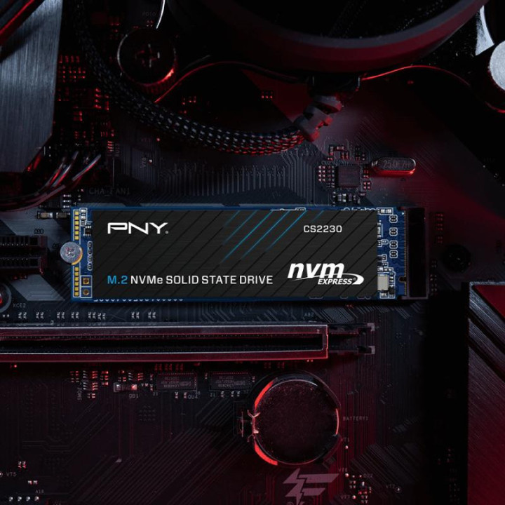PNY CS2230 500 Go M.2 PCI Express 3.0 NVMe 3D NAND 