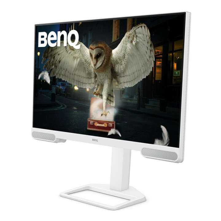 BenQ EW3290U écran plat de PC 79,2 cm (31.2") 3840 x 2160 pixels 4K Ultra HD LED Blanc 