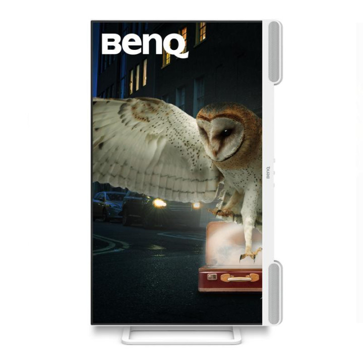 BenQ EW3290U écran plat de PC 79,2 cm (31.2") 3840 x 2160 pixels 4K Ultra HD LED Blanc 