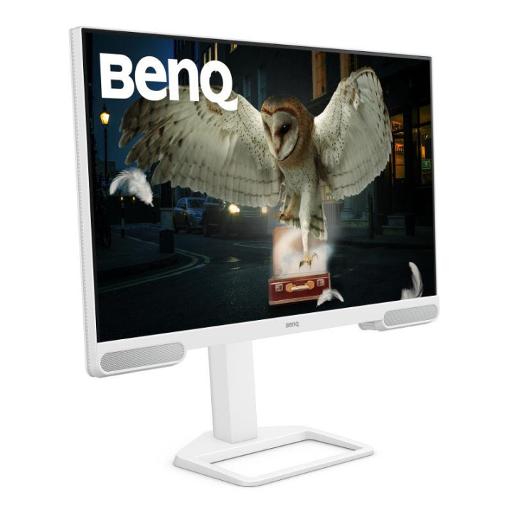 BenQ EW3290U écran plat de PC 79,2 cm (31.2") 3840 x 2160 pixels 4K Ultra HD LED Blanc 