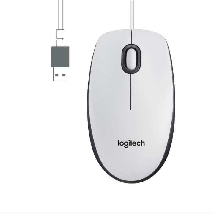 Logitech M100 