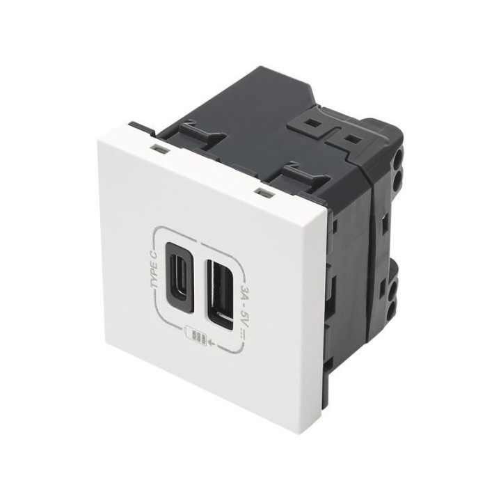 Sommer cable FICHE MODULE USB C et USB  45x45 mm, plastique, blanc 