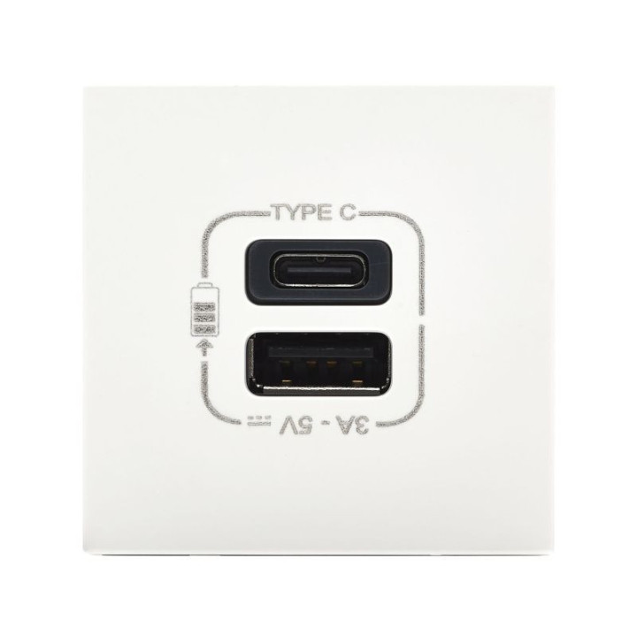 Sommer cable FICHE MODULE USB C et USB  45x45 mm, plastique, blanc 