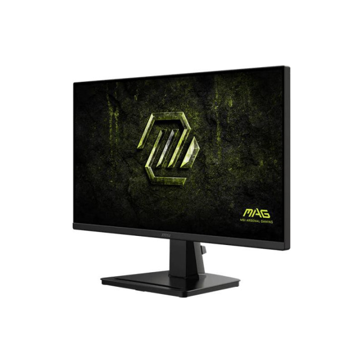 MSI MAG 256F E20 écran plat de PC 62,2 cm (24.5") 1920 x 1080 pixels Full HD LCD Noir 