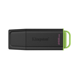Kingston Technology DataTraveler 256Go Stockage portable USB 3.2 Gen 1 Exodia Noir + Vert 