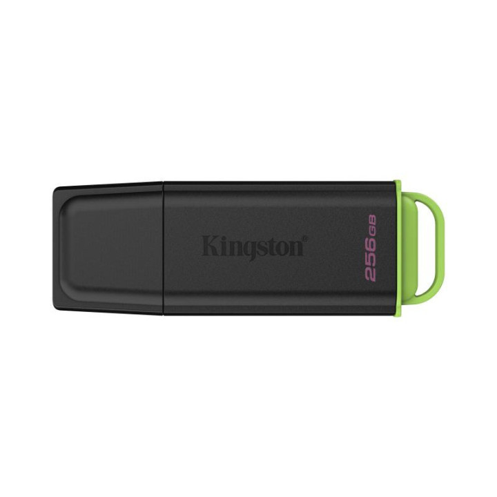 Kingston Technology DataTraveler 256Go Stockage portable USB 3.2 Gen 1 Exodia Noir + Vert 