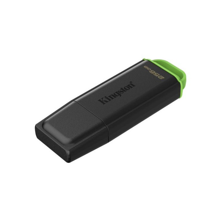 Kingston Technology DataTraveler 256Go Stockage portable USB 3.2 Gen 1 Exodia Noir + Vert 