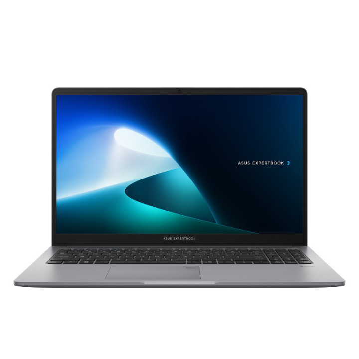 ASUS ExpertBook P1503CVA-S72565X 