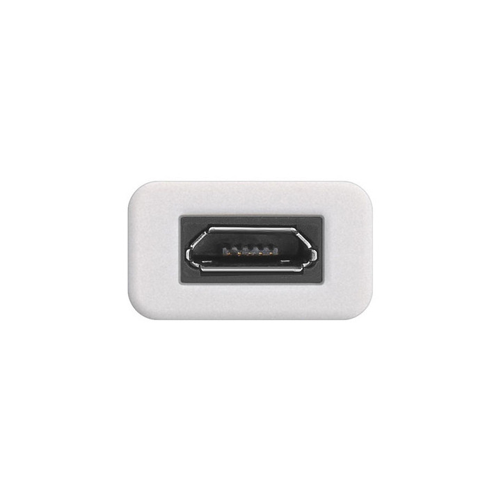 Adaptateur USB 3.1 type C / USB 2.0 micro B femelle - USB31CM2HBFCEZ | MCL Samar 