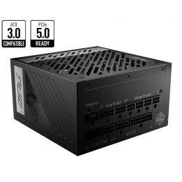 ATX 1000W - 80+ Gold FM - MPG A1000G PCIE5 - 3067ZP5C11CE0 | MSI 