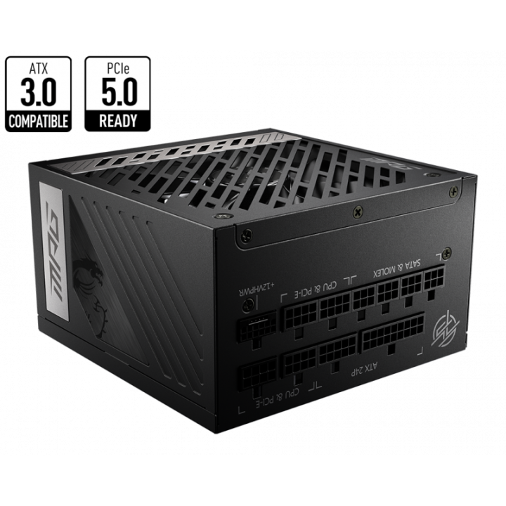 ATX 1000W - 80+ Gold FM - MPG A1000G PCIE5 - 3067ZP5C11CE0 | MSI 