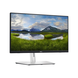 Ecran 23.8" tactile USB-C Dell P2424HT 