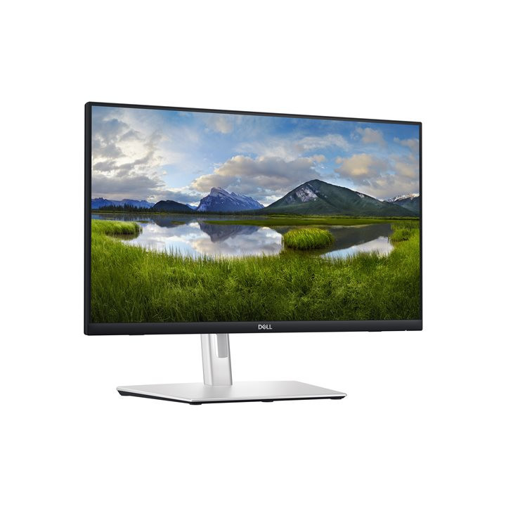 Ecran 23.8" tactile USB-C Dell P2424HT 