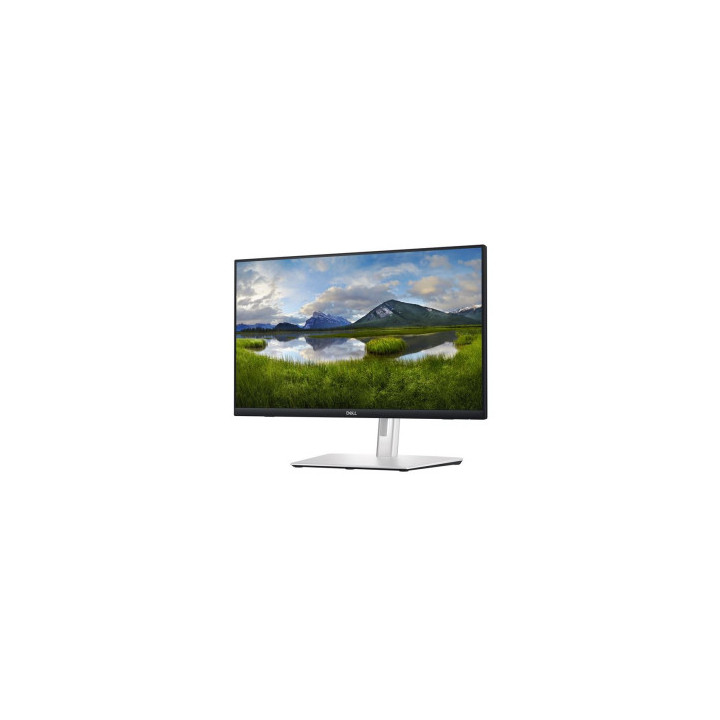 Ecran 23.8" tactile USB-C Dell P2424HT 