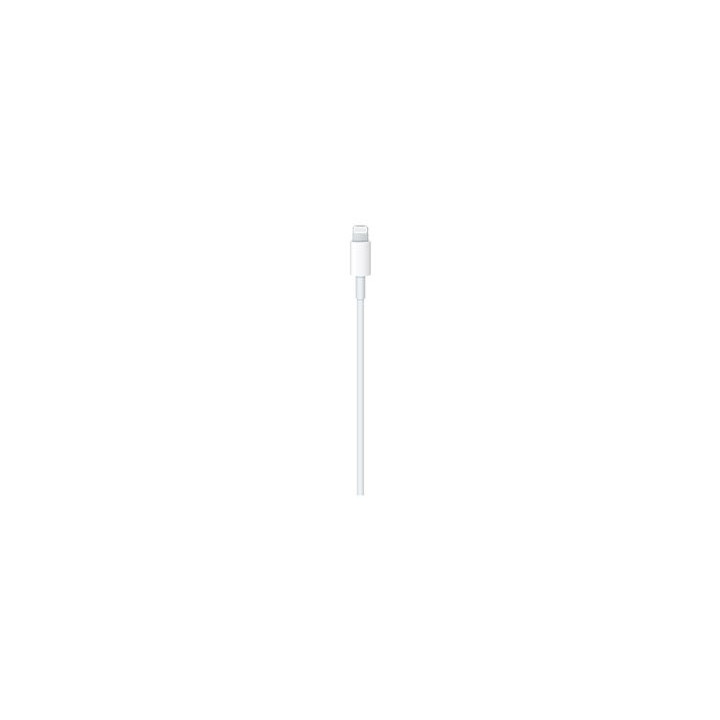 Câble USB-C vers Lightning (2 
