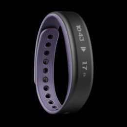 VIVOSMART - Taille Small Violet - ocazgb6908670100131702 | Garmin 
